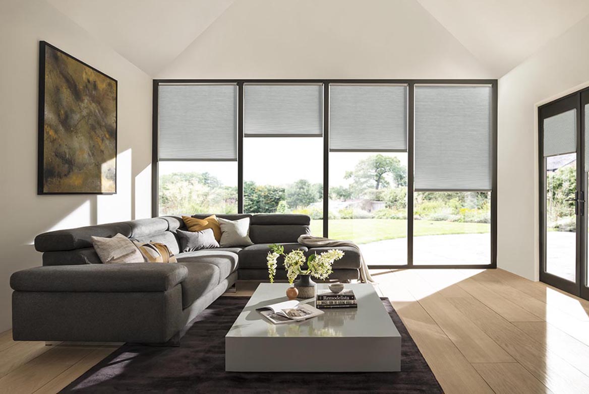 Ts 2021 Duette Blinds Roomset Dim Out Dolphin 1168X782