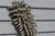 Close up of a microfibre cleaning brush against the louvres of a grey shutter.