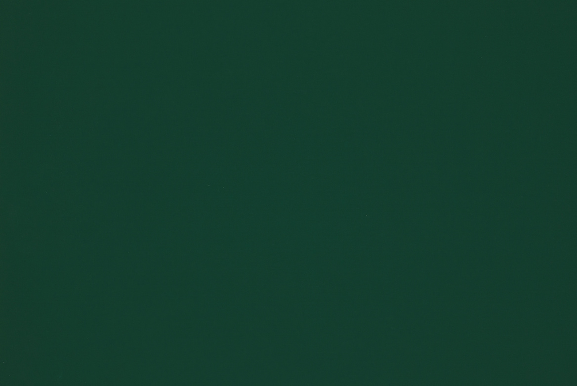 TS OUTDOOR SWATCH UNI EMERALD 1168X782