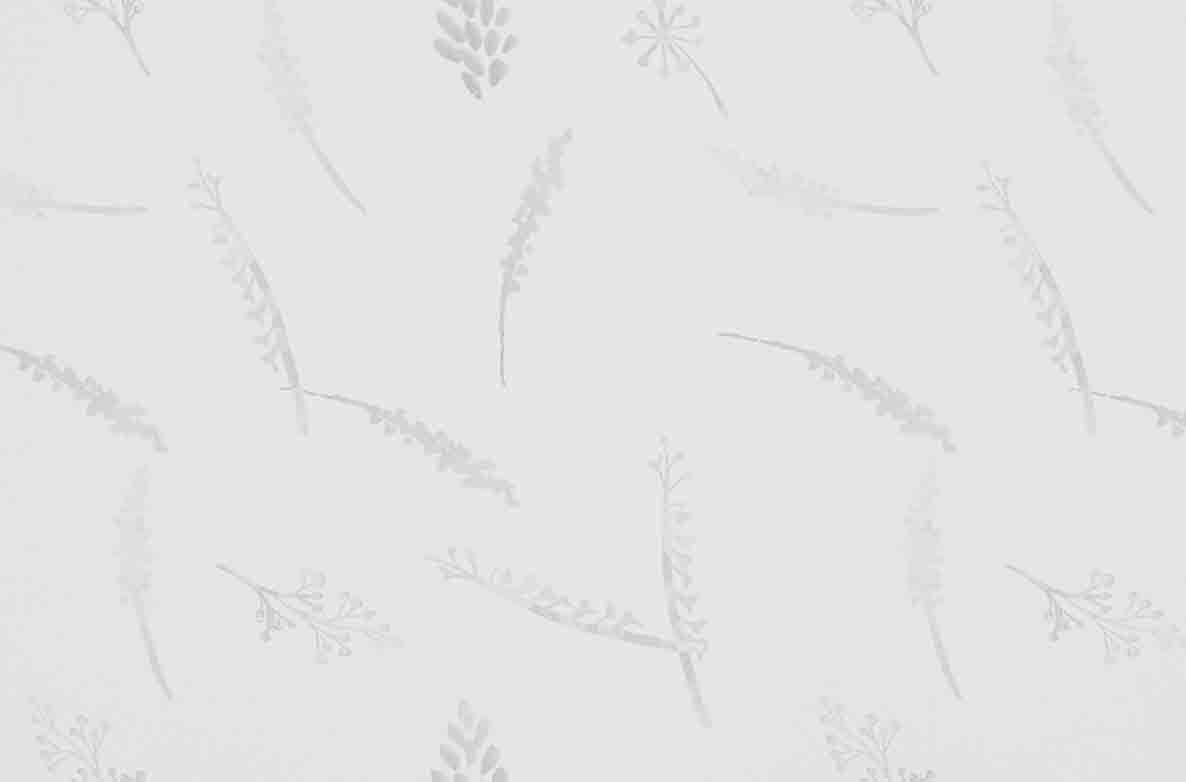 TS 2023 ROLLERS SWATCH SETLEY BLACKOUT WHITE 1168X782