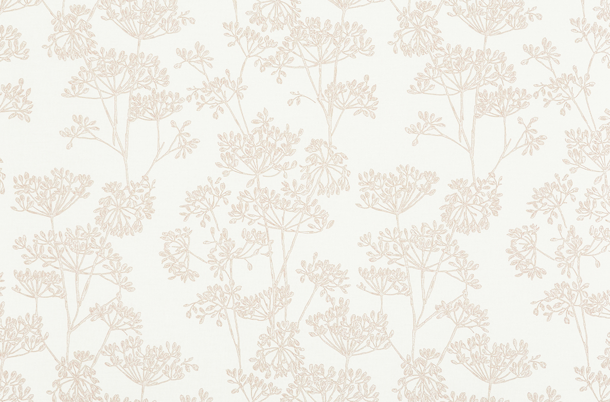 TS 2023 ROLLERS SWATCH HAYES CRIMSON 1168X782