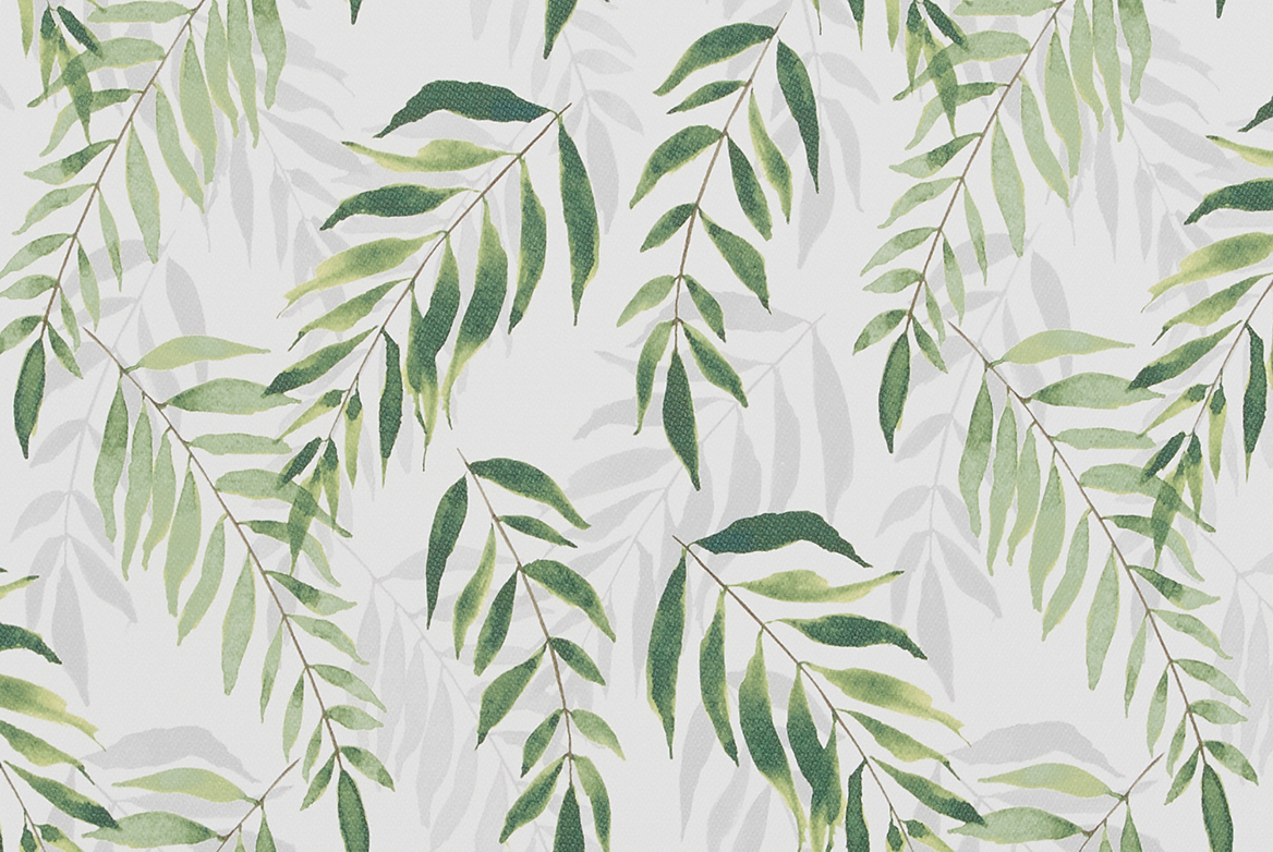 TS 2023 ROLLERS SWATCH WOODSIDE FERN 1168X782