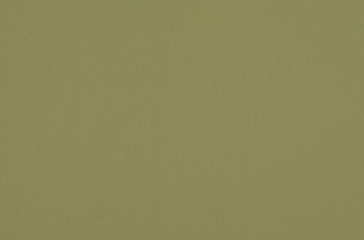 TS 2023 ROLLERS SWATCH HURST GREEN 1168X782