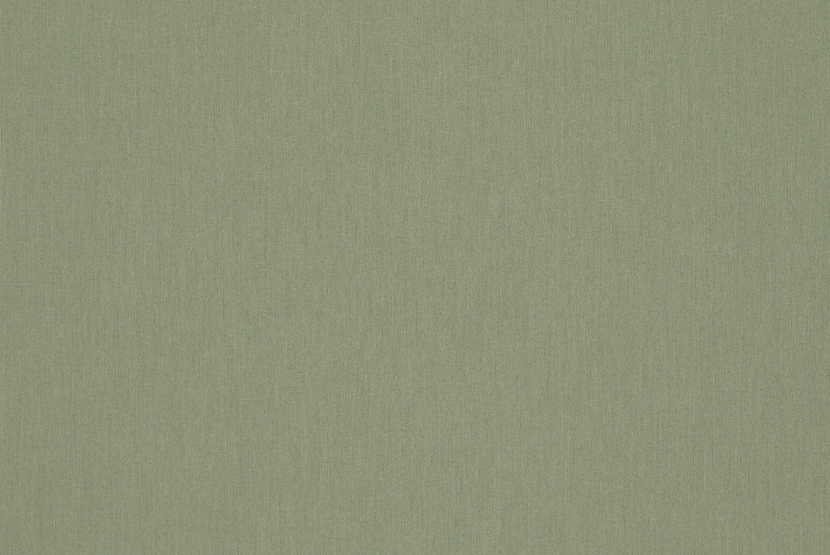 TS OUTDOOR SWATCH UNI FERN 1168X782