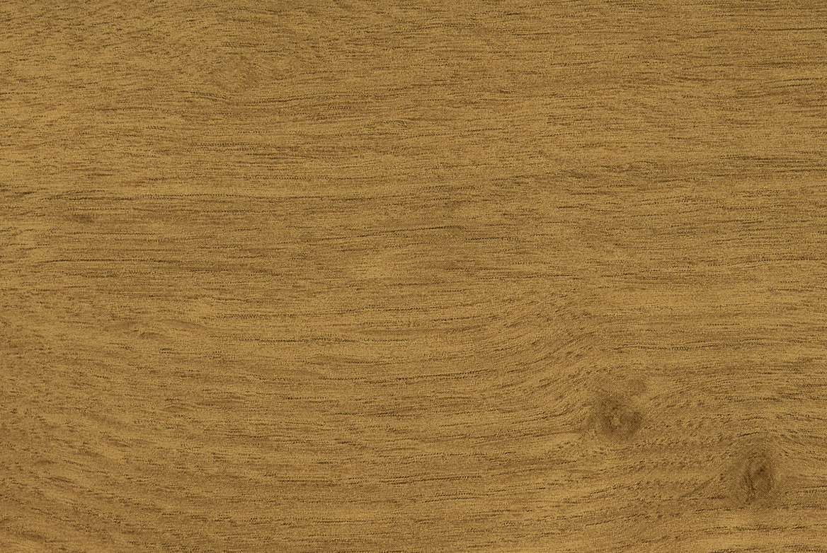 TS GARAGE DOOR SWATCH IRISH OAK 1168X782