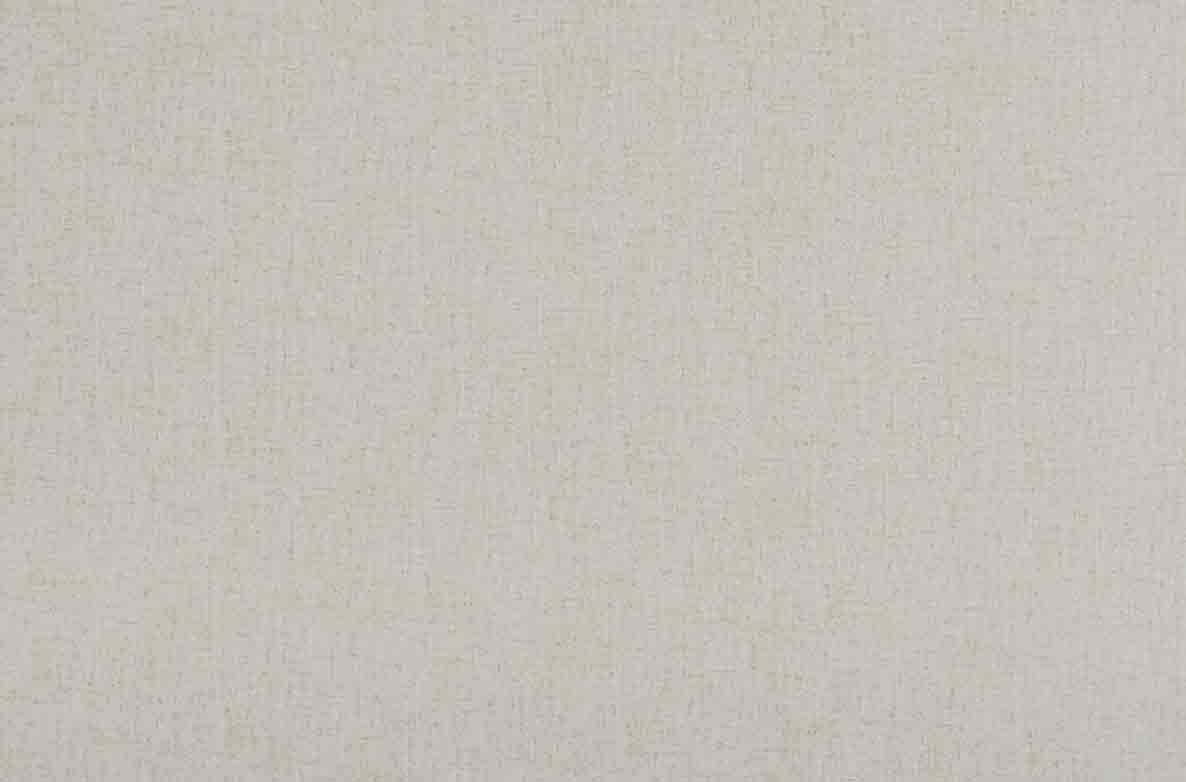 TS 2023 ROLLERS SWATCH RUFUS COTTON 1168X782