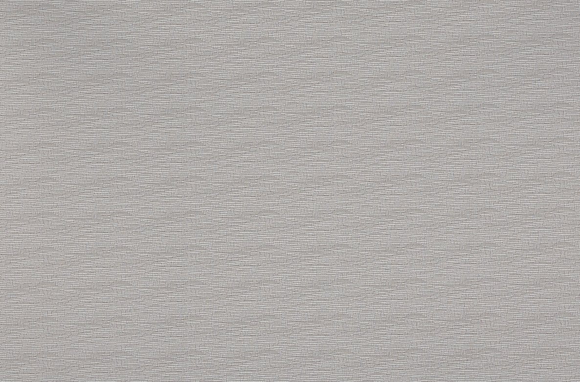 TS 2023 ROLLERS SWATCH NASH SILVER 1168X782