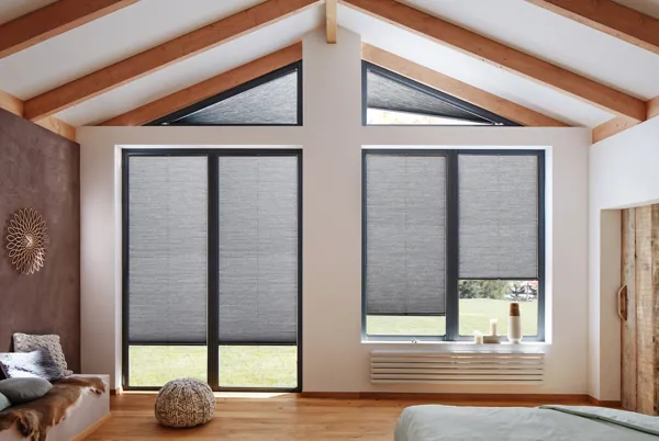 TS 2023 SILK DIM OUT RAVEN DUETTE BLIND 01 (2)