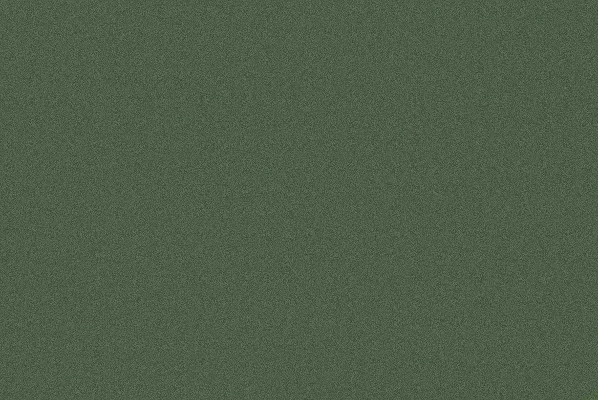 TS GARAGE DOOR SWATCH GREEN METALLIC 1168X782