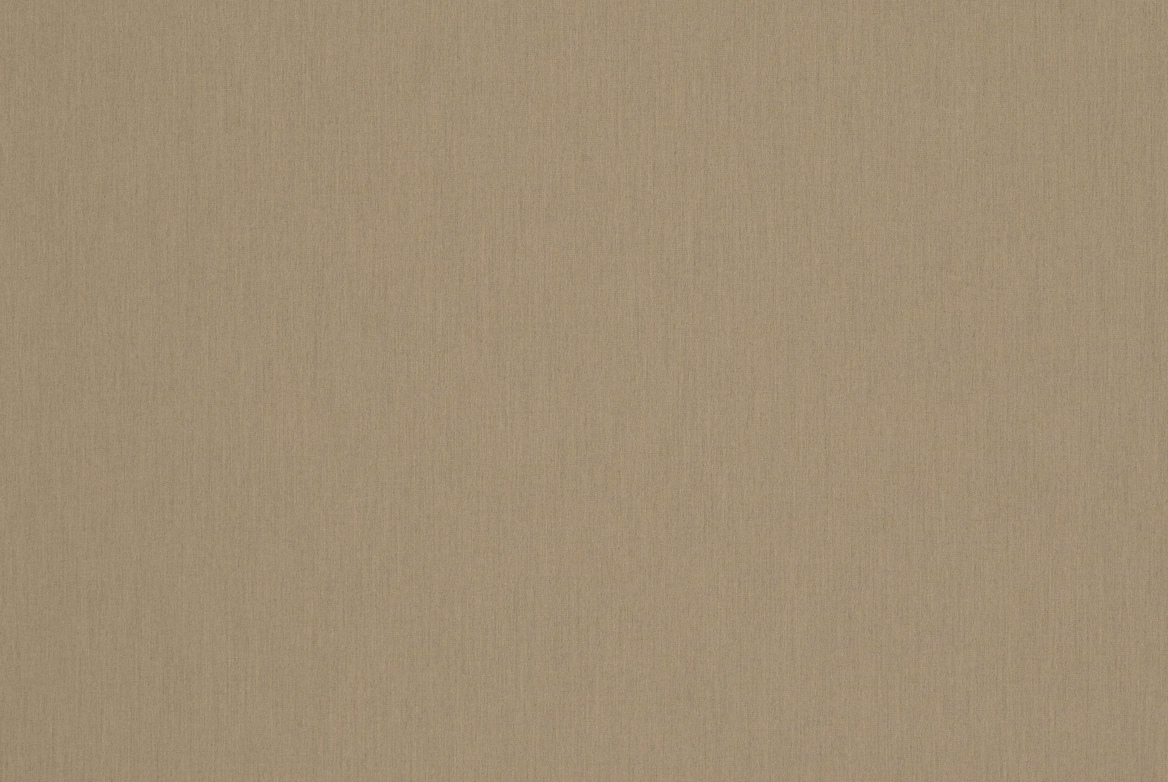 TS OUTDOOR SWATCH UNI BARK 1168X782