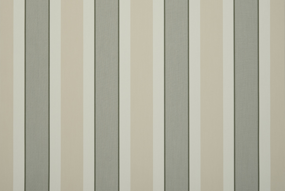 Ts 2021 Awning Lightbox Shadow Fern 1168X782