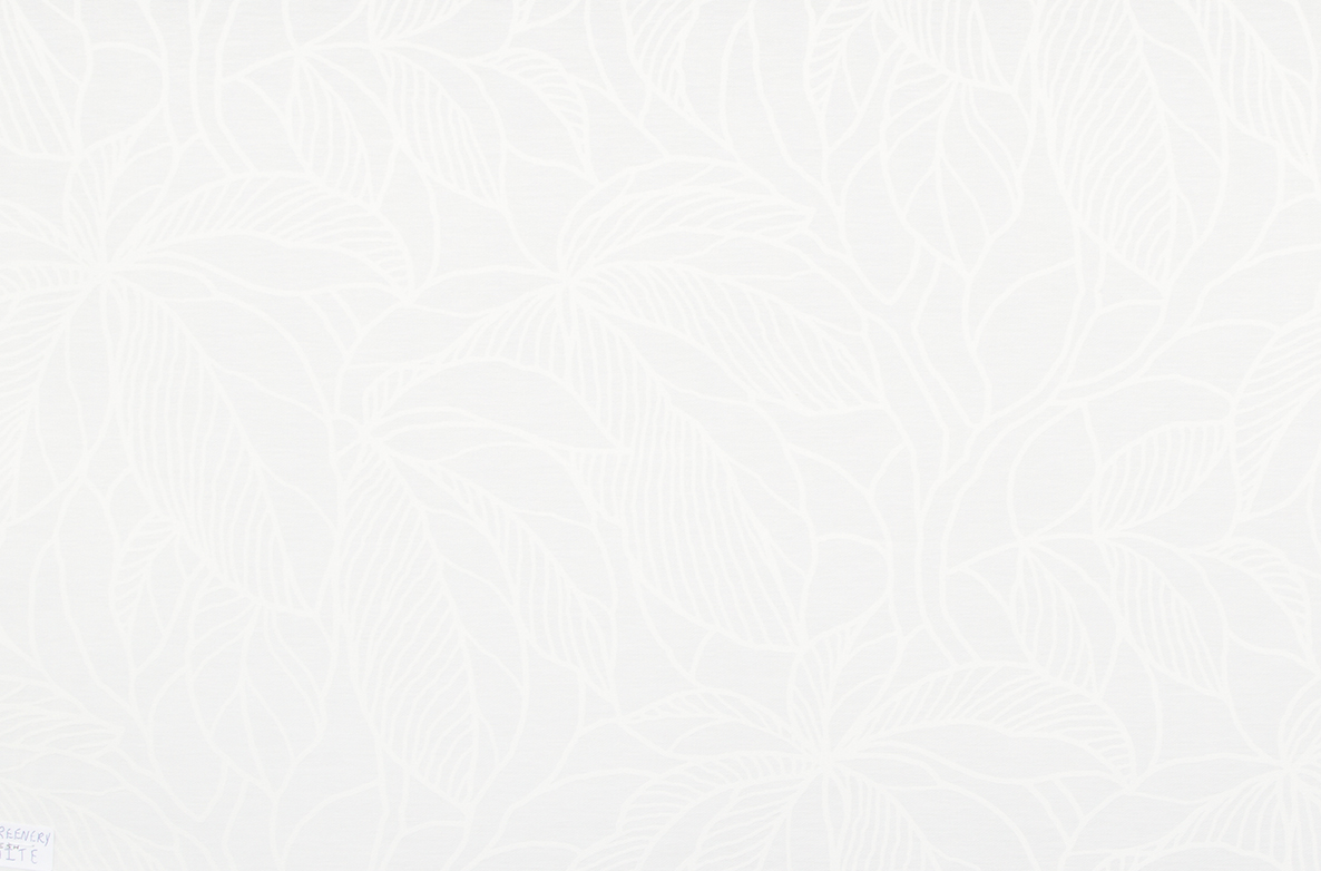 TS 2023 ROLLERS SWATCH FAWLEY FRESH WHITE 1168X782