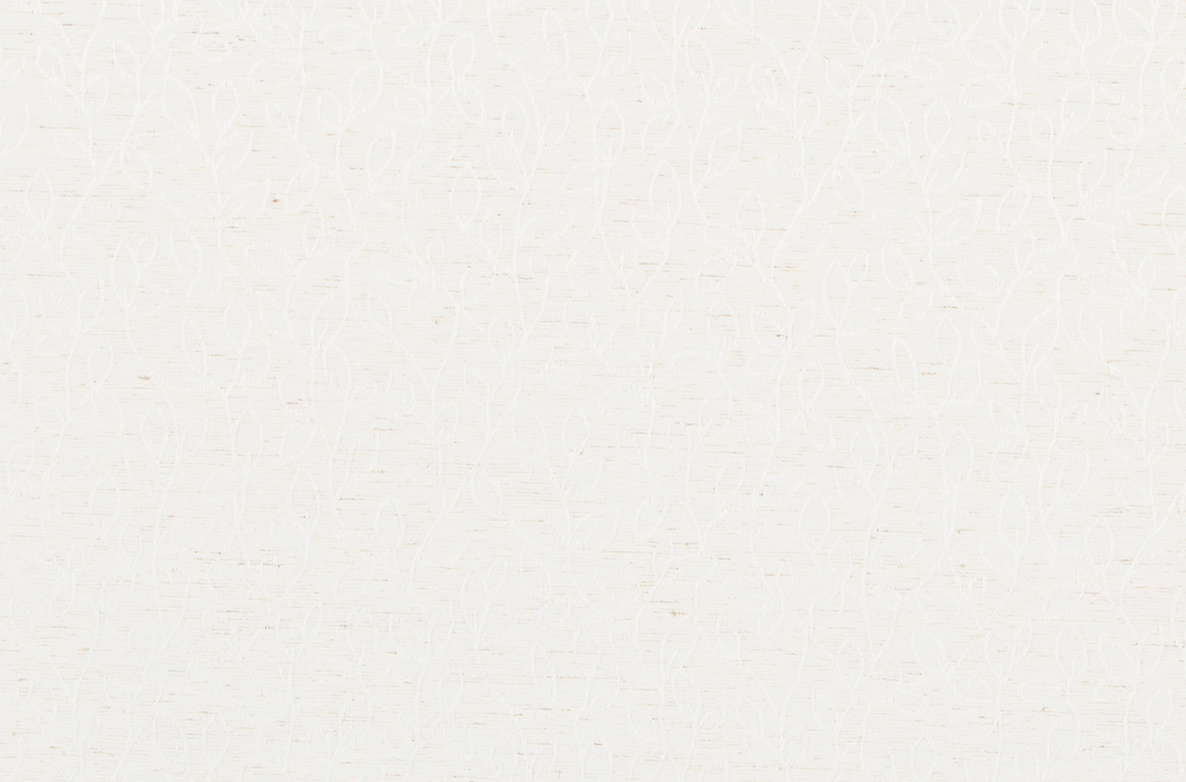 TS 2023 ROLLERS SWATCH CONYER IVORY 1168X782