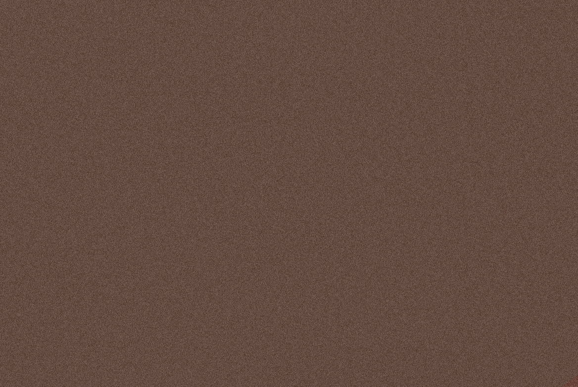 TS GARAGE DOOR SWATCH BROWN METALLIC 1168X782