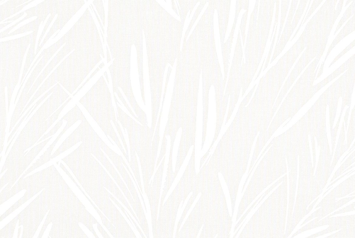 TS 2023 ROLLERS SWATCH FAIRFORD WHITE 1168X782
