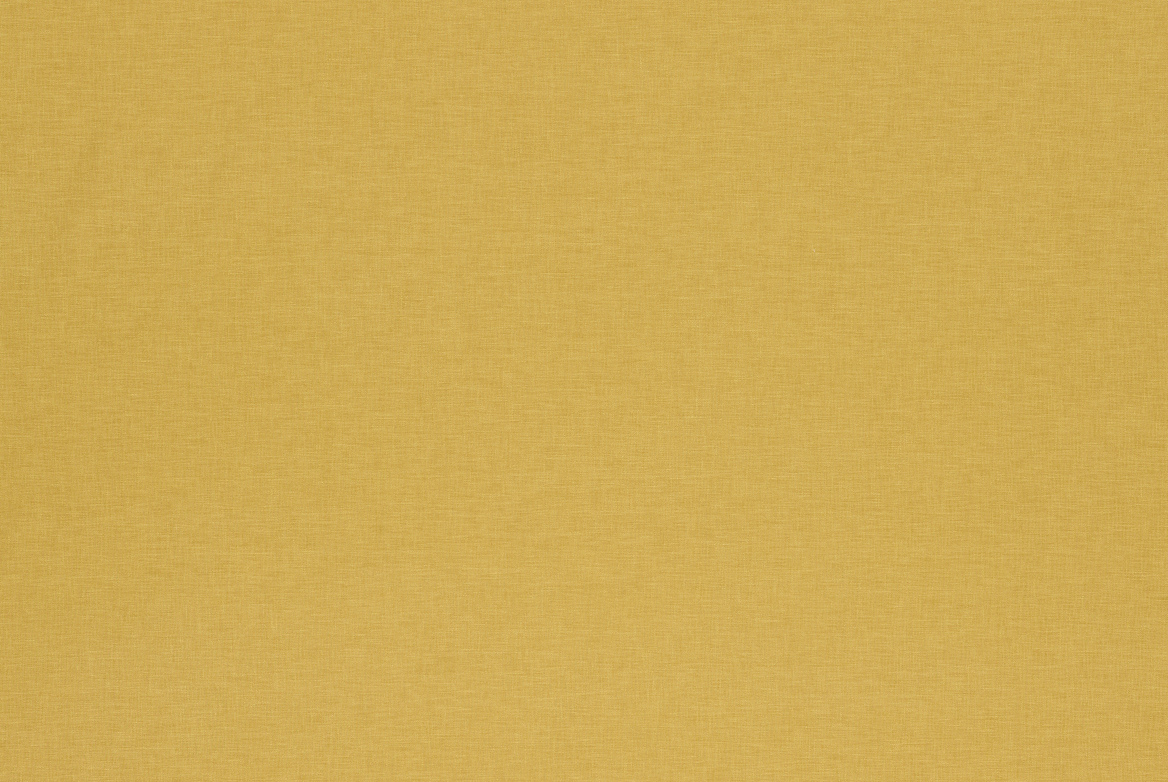 DIANELLA SUNSHINE FLAT 1168X782