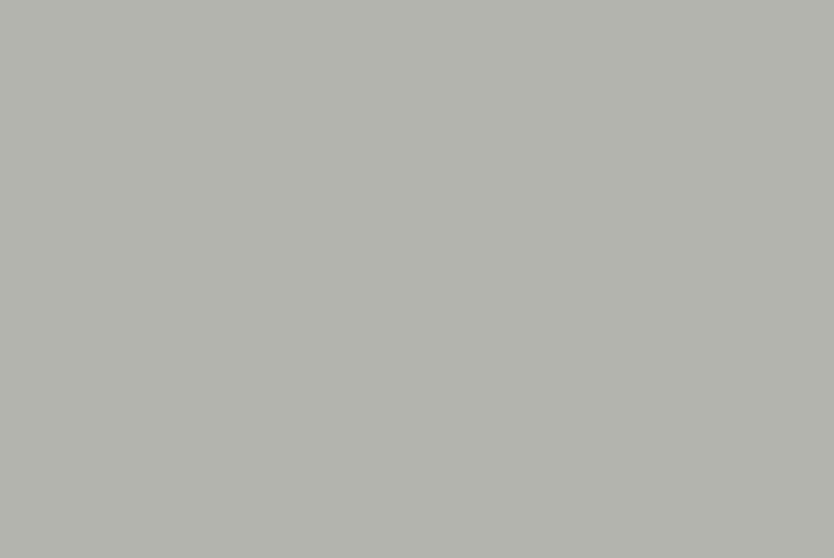 TS GARAGE DOOR SWATCH AGATE GREY RAL7038 1168X782