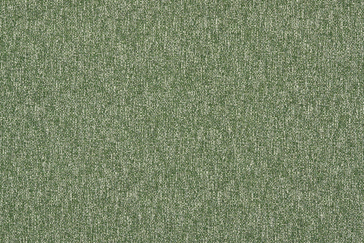 SHASTA MOSS FLAT 1168X782