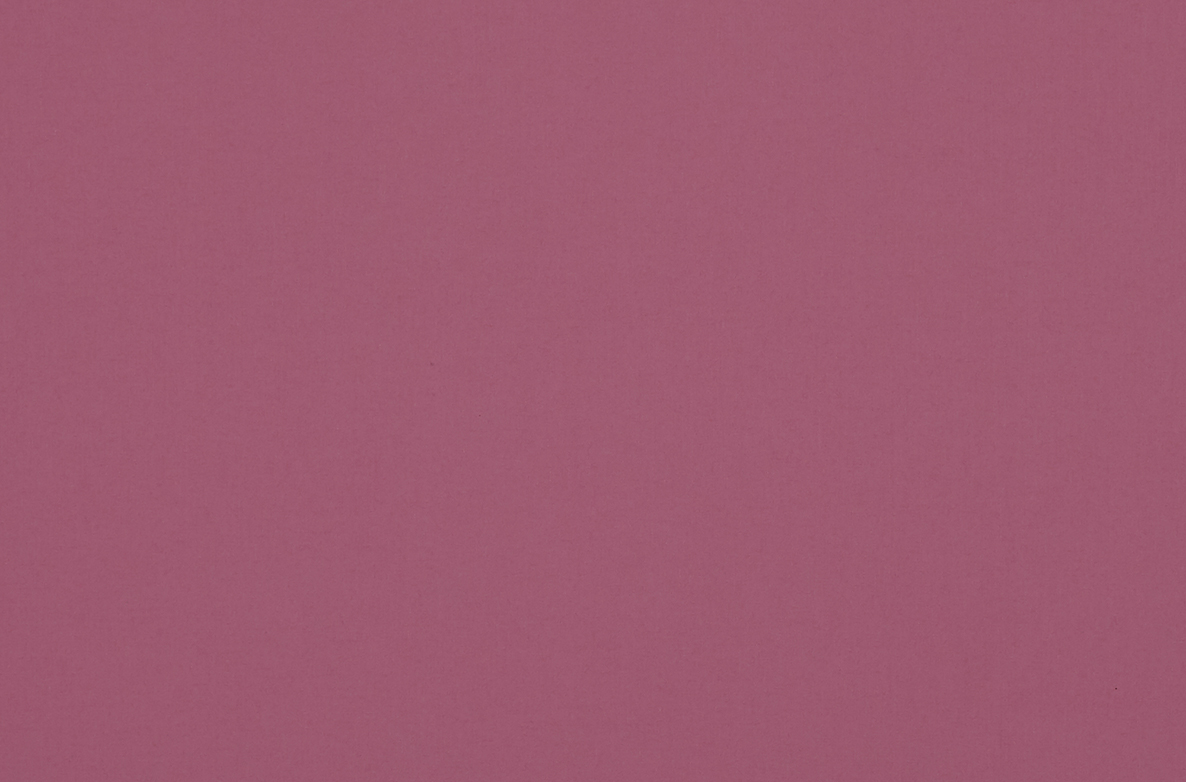 TS 2023 ROLLERS SWATCH HURST CASSIS PINK 1168X782