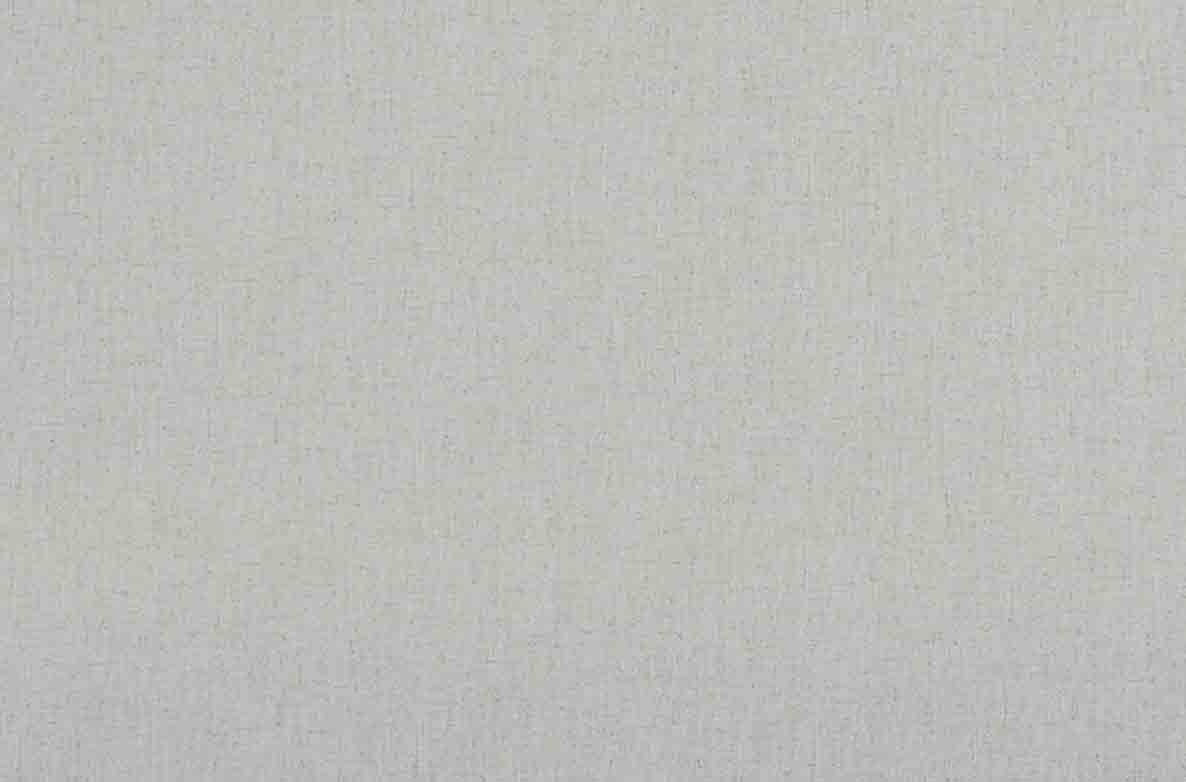 TS 2023 ROLLERS SWATCH RUFUS GLACIER 1168X782