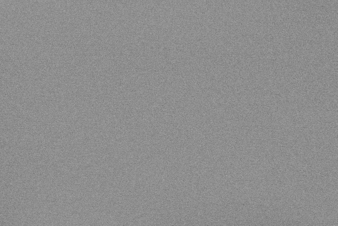 TS GARAGE DOOR SWATCH LIGHT GREY METALLIC 1168X782