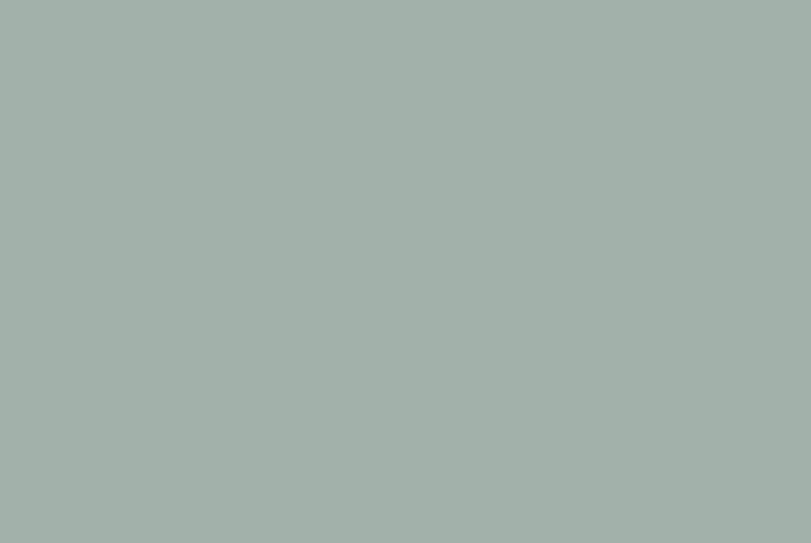 TS GARAGE DOOR SWATCH CHARTWELL GREEN CUSTOM COLOUR 1168X782