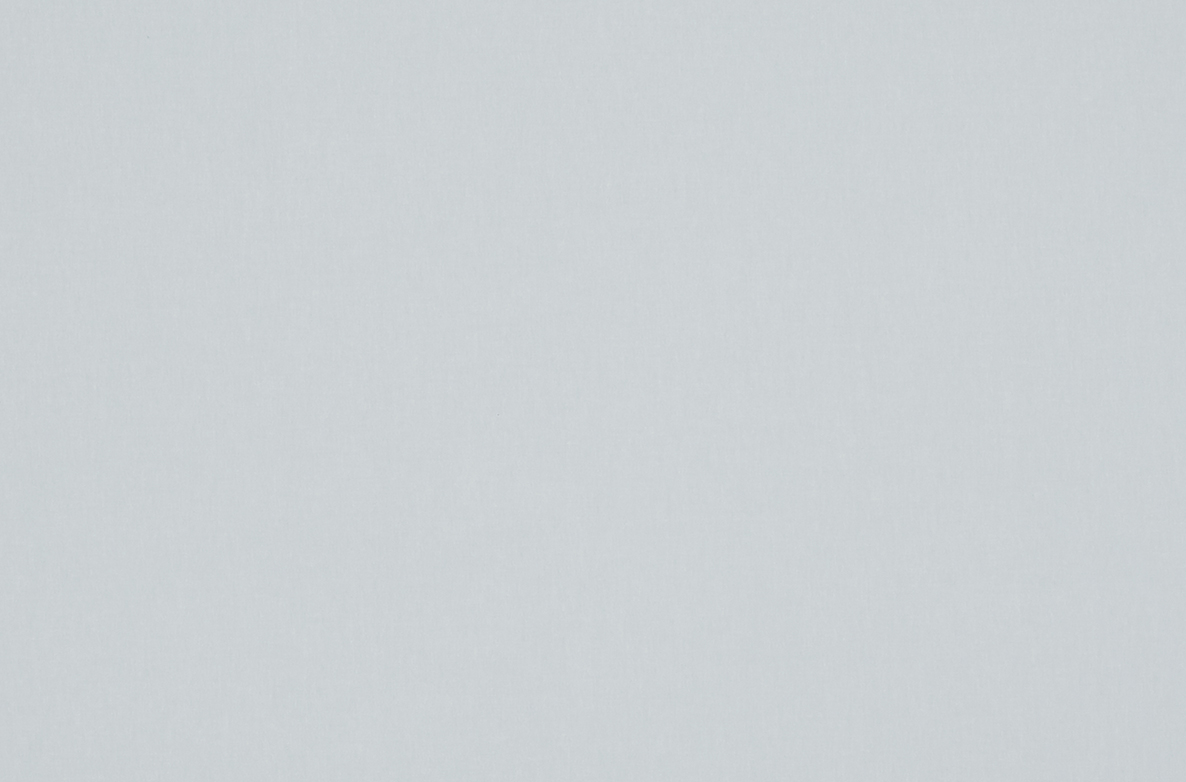 TS 2023 ROLLERS SWATCH HURST BLACKOUT ICE GREY 1168X782