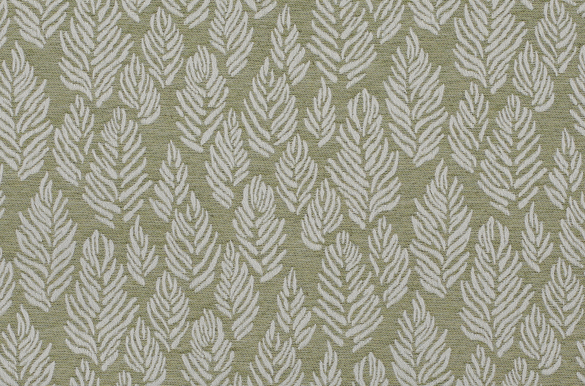 TS 2023 ROLLERS SWATCH PADBURY MOSS 1168X782