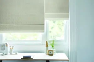 TS 2023 ROMAN LAUNCH ROMAN BLIND ZINNIA NATURAL HILLS