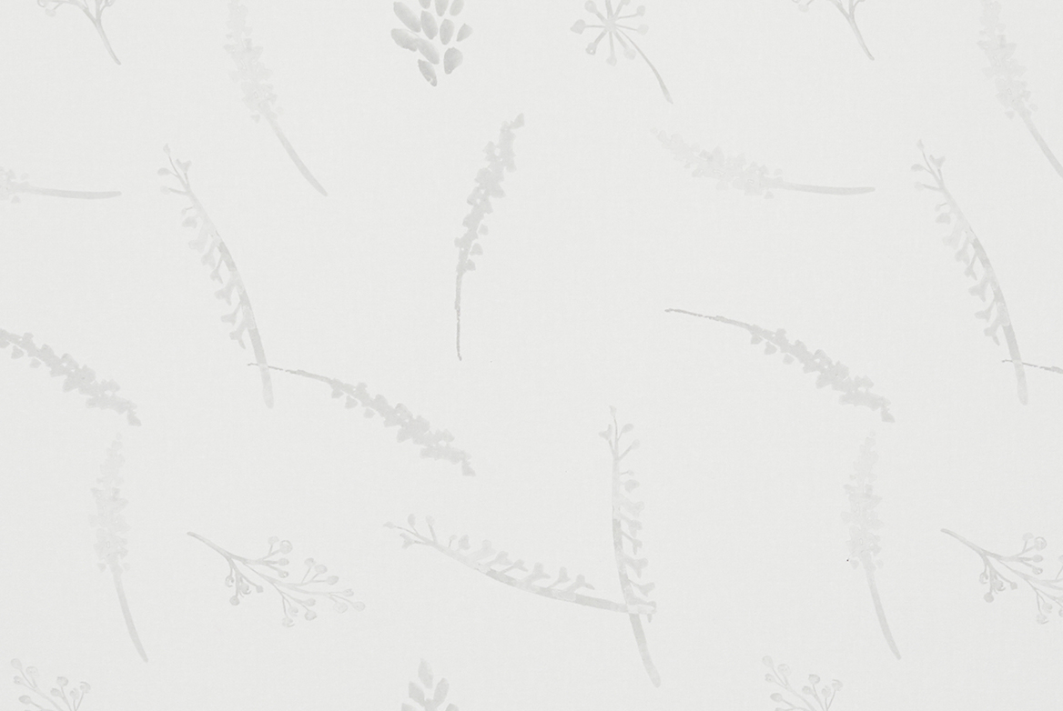 TS 2023 ROLLERS SWATCH SETLEY WHITE 1168X782