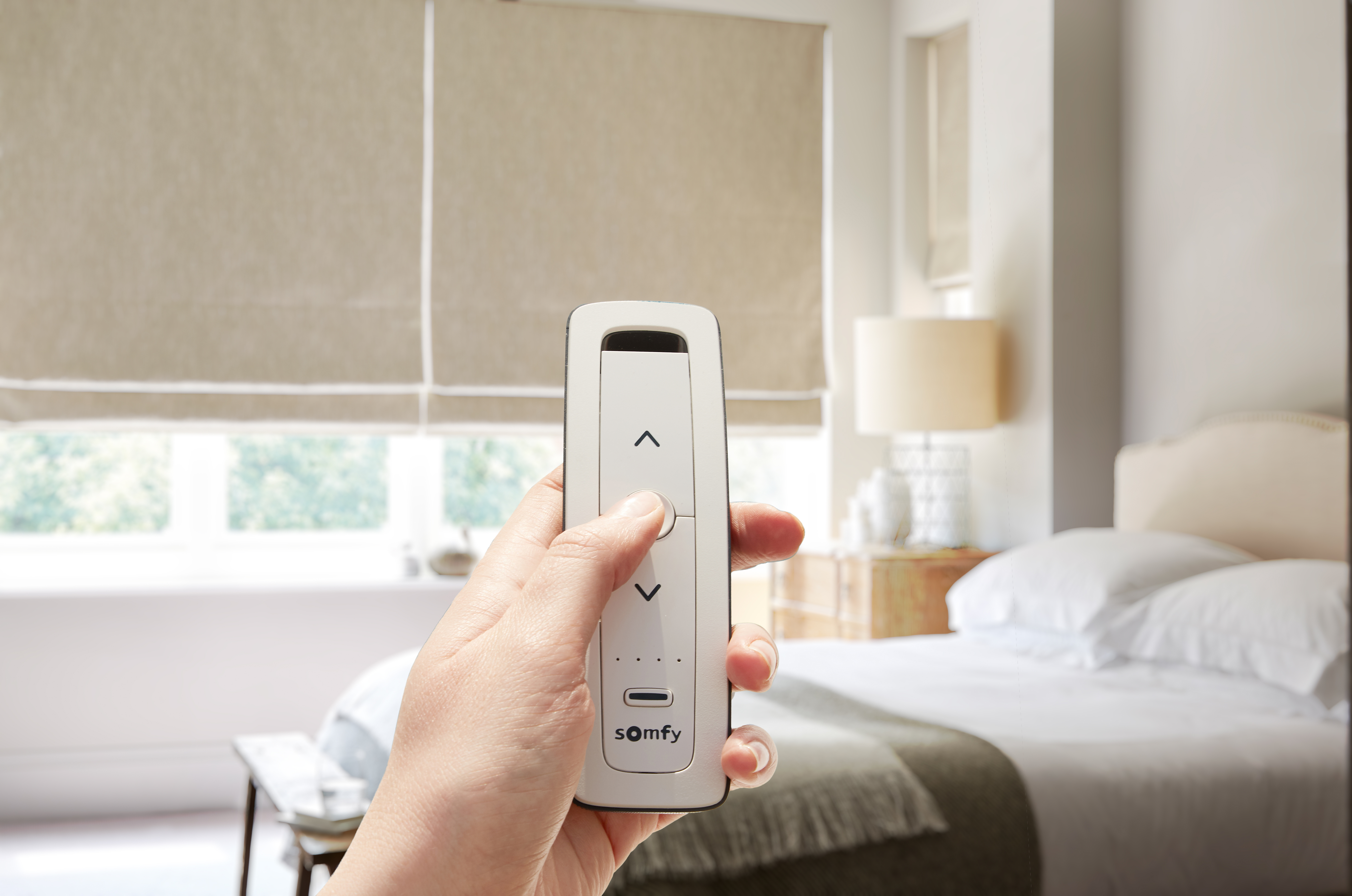 Arena Rom Rise Mushroom Somfy