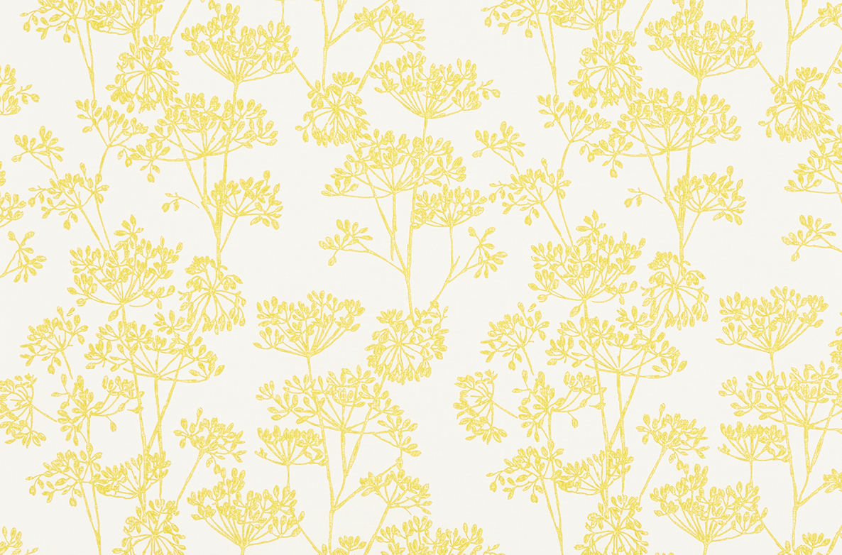 TS 2023 ROLLERS SWATCH HAYES HONEY 1168X782