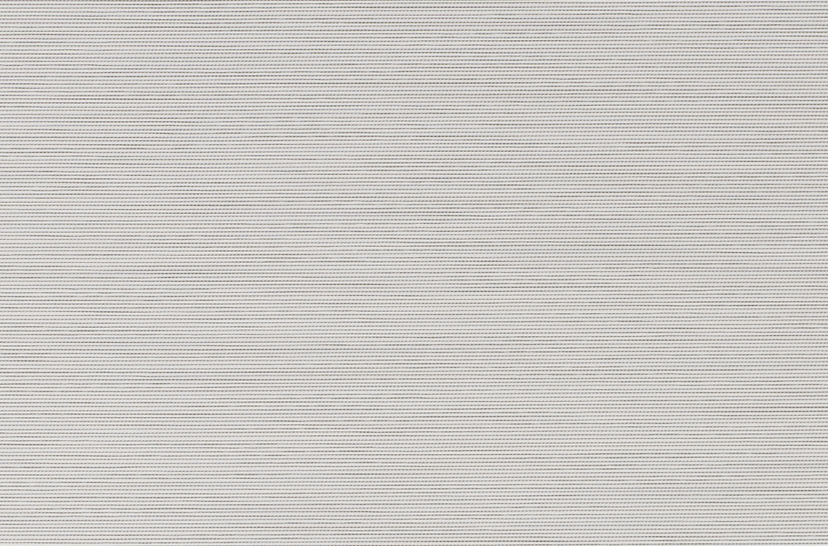 TS 2023 ROLLERS SWATCH FORTON MIST 1168X782