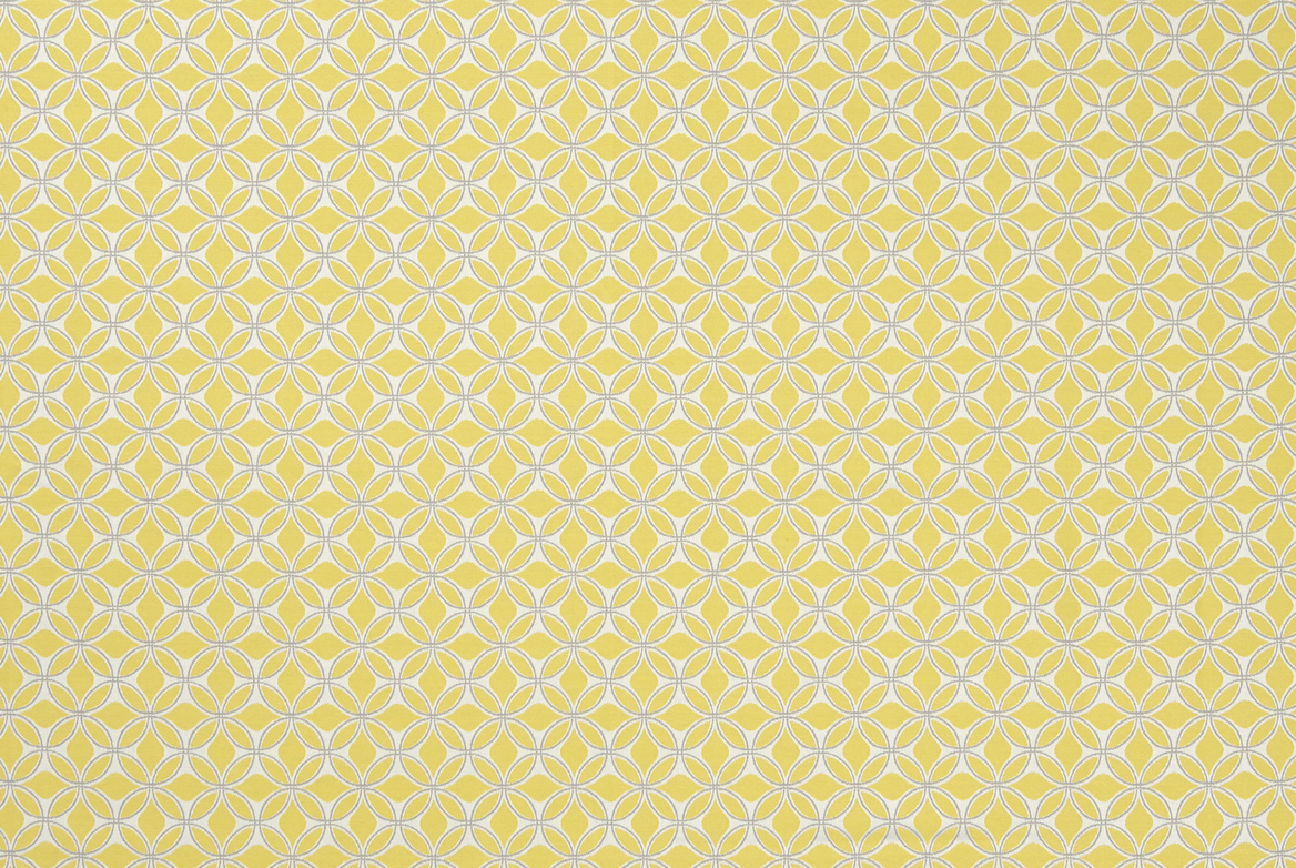 ASTER MIMOSA FLAT 1168X782