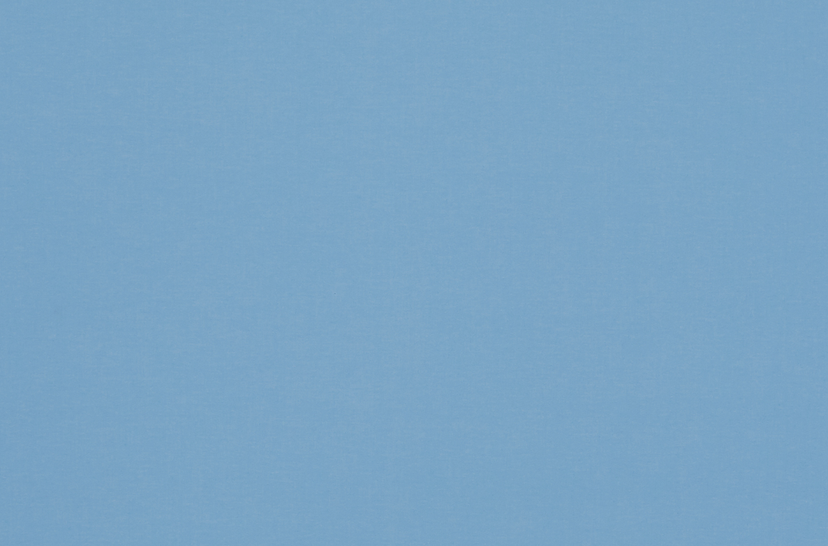 TS 2023 ROLLERS SWATCH HURST OCEAN BLUE 1168X782