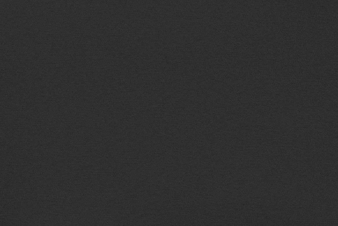 TS GARAGE DOOR SWATCH DARK GREY METALLIC 1168X782