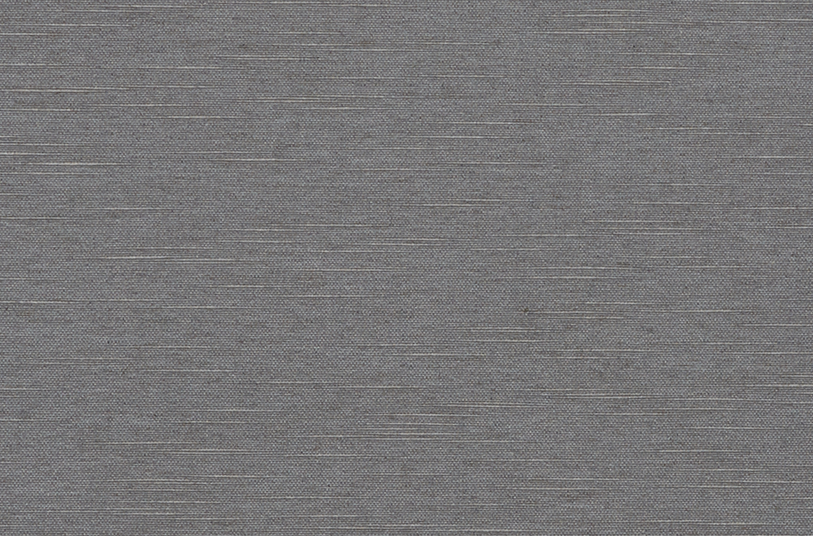 TS 2023 ROLLERS SWATCH FLEET BLACKOUT CHARCOAL 1168X782