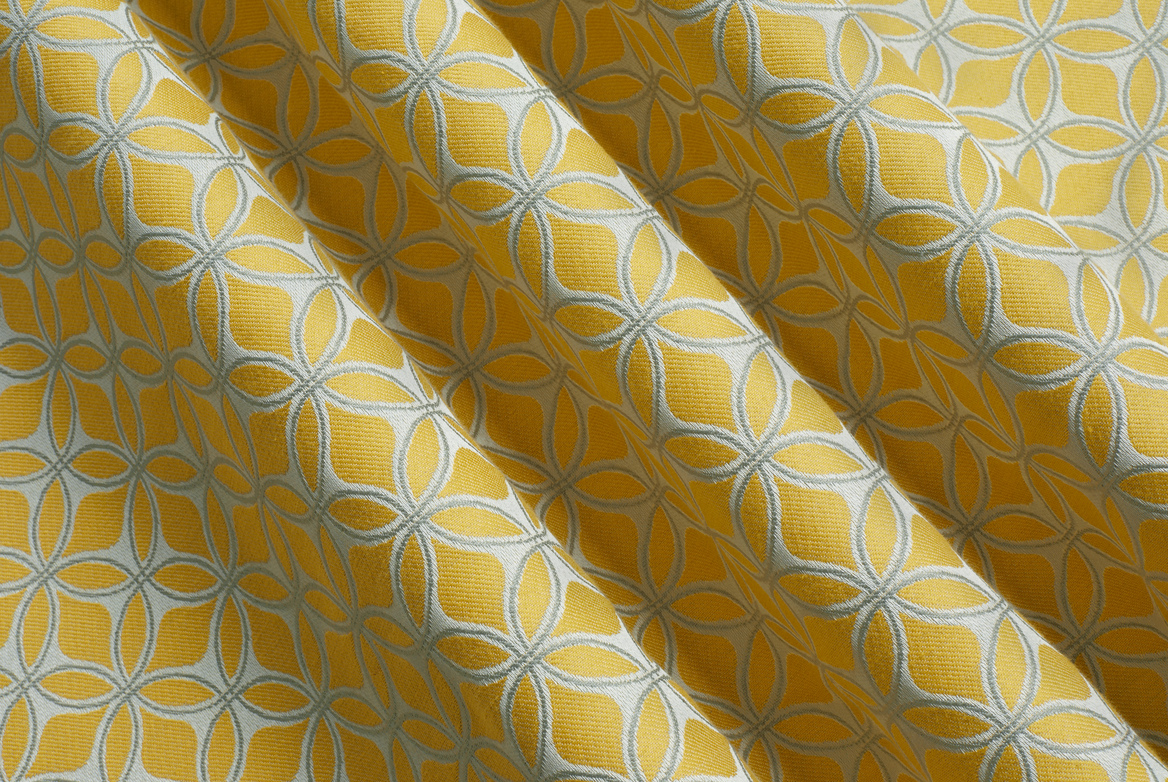 ASTER MIMOSA FOLD TS 23 1168X782