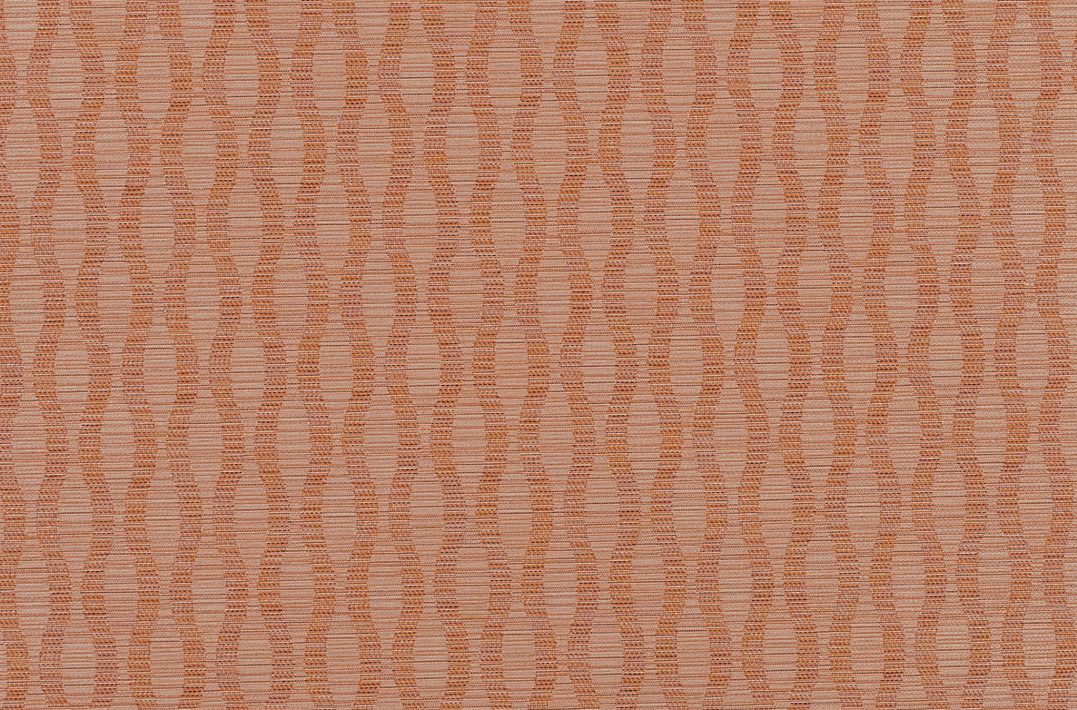 TS 2023 ROLLERS SWATCH BANK PAPAYA 1168X782