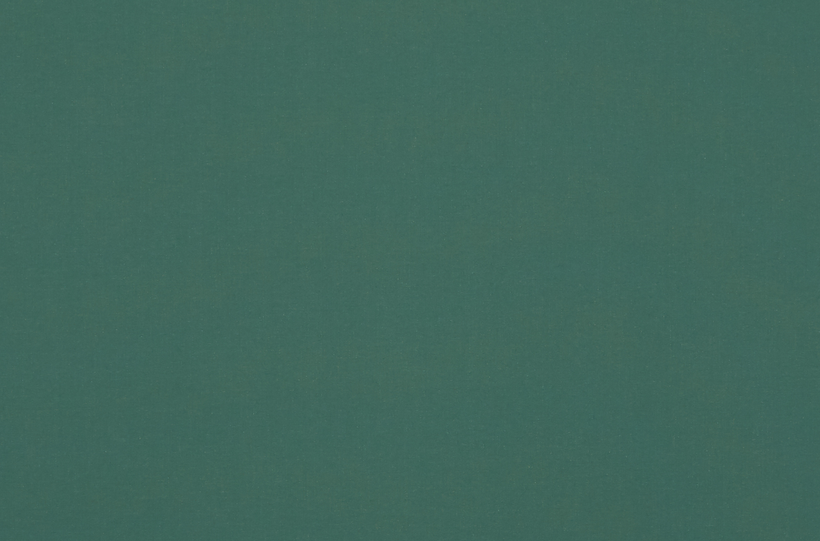 TS 2023 ROLLERS SWATCH HURST BLACKOUT GRASS 1168X782