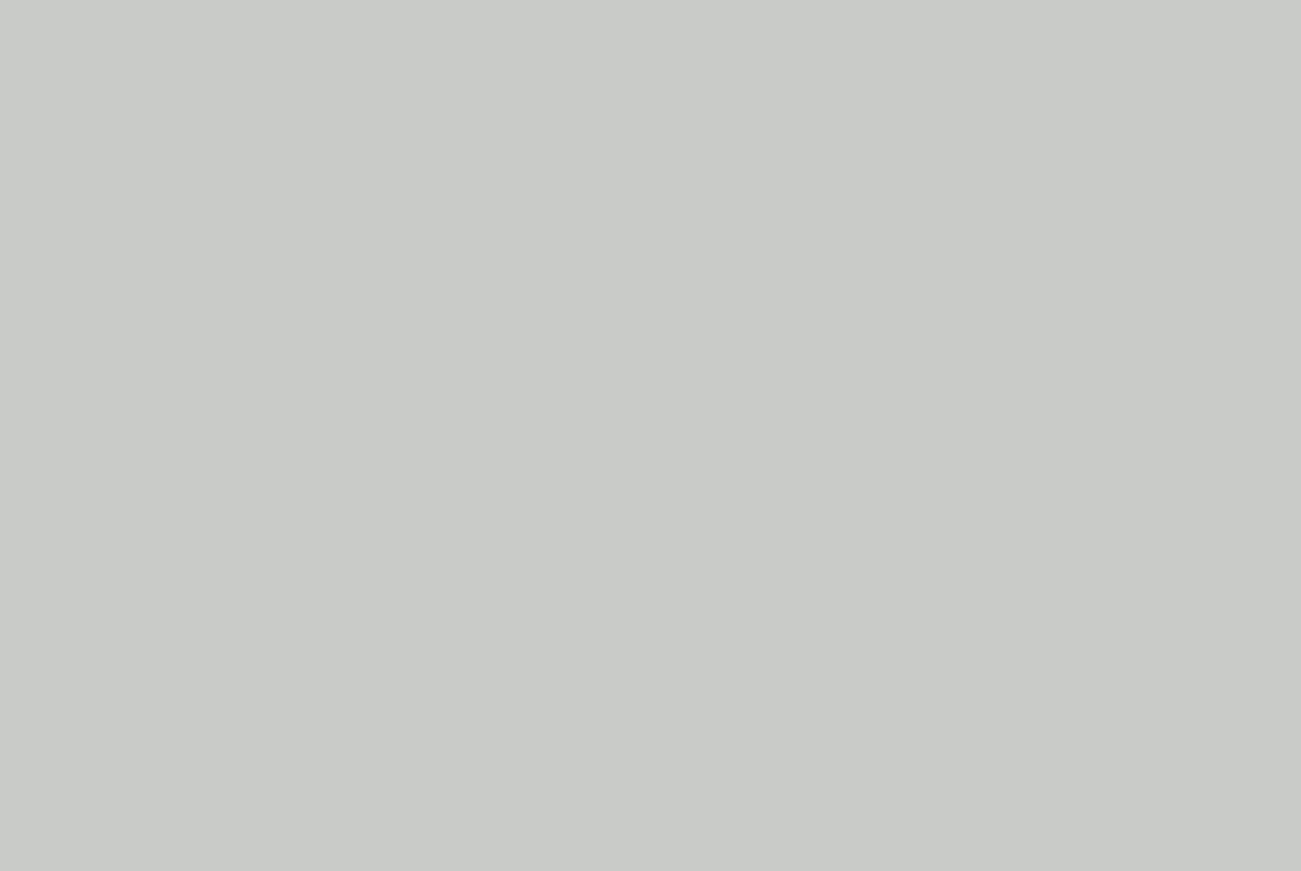 TS GARAGE DOOR SWATCH LIGHT GREY RAL7035 1168X782