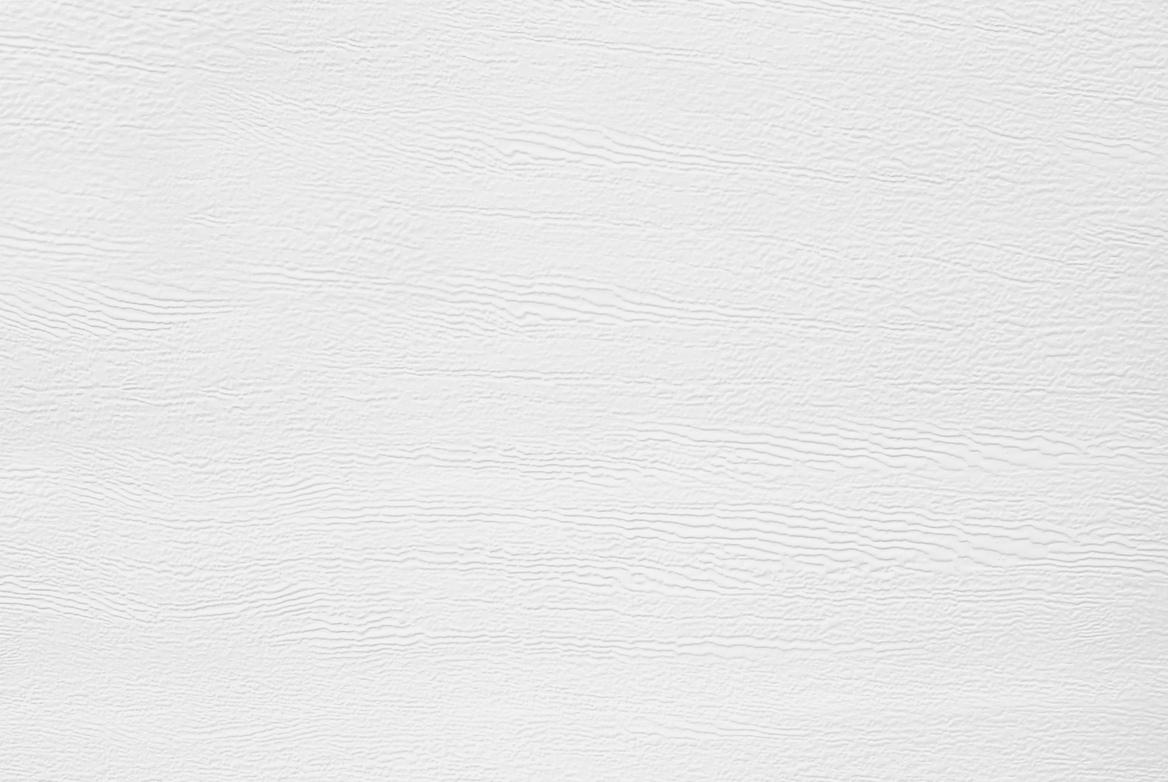 TS 24 GARAGE DOOR SWATCH WHITE WOODGRAIN 168X782
