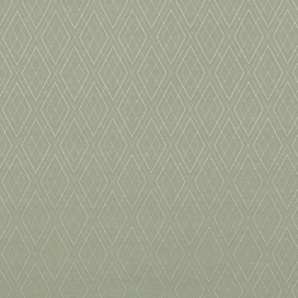 Fern