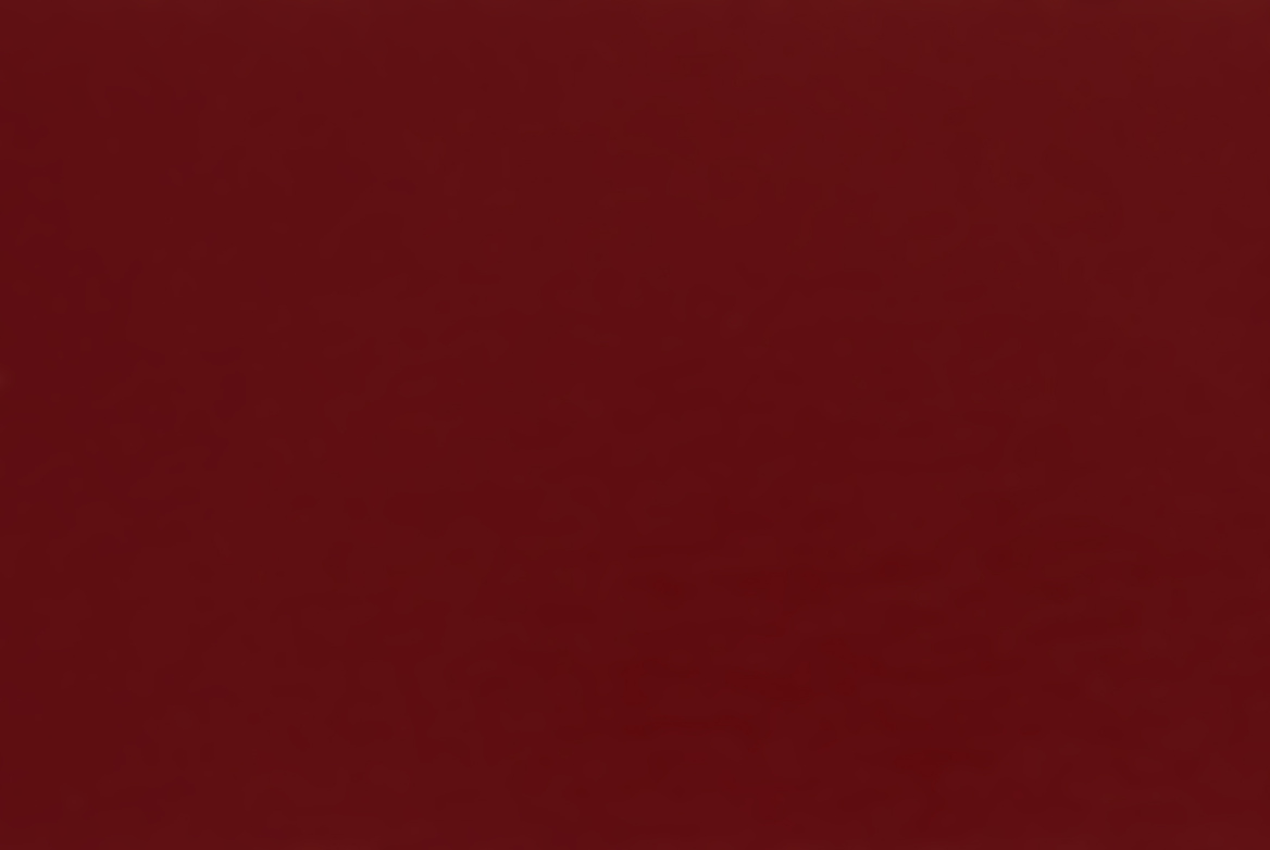 TS 24 GARAGE DOOR SWATCH BURGUNDY SMOOTH 1168X782