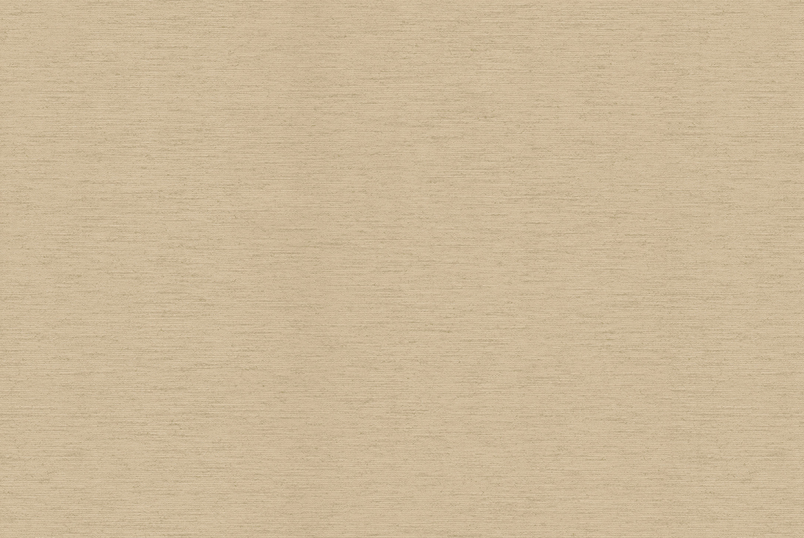 TS 2023 ROLLERS SWATCH FLEET SAND 1168X782