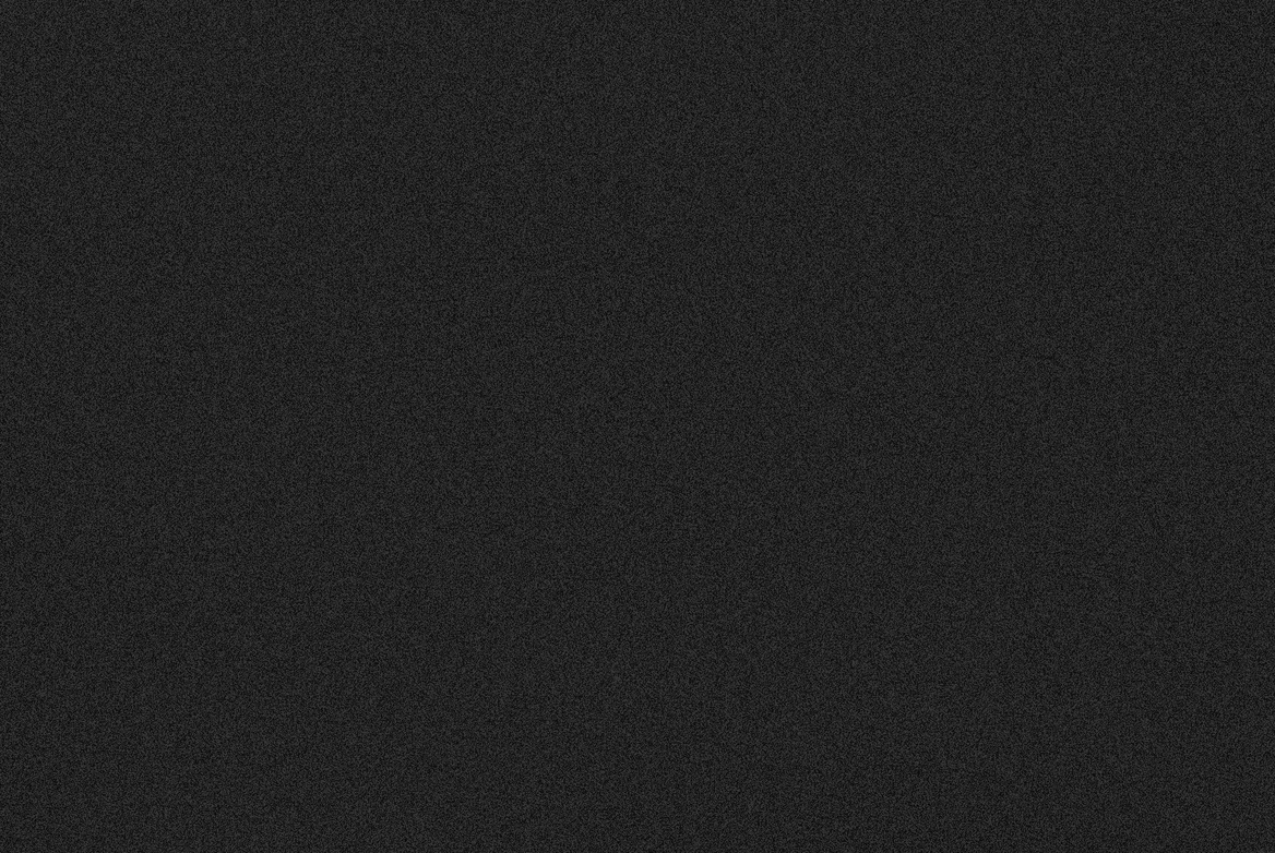 TS GARAGE DOOR SWATCH BLACK METALLIC 1168X782